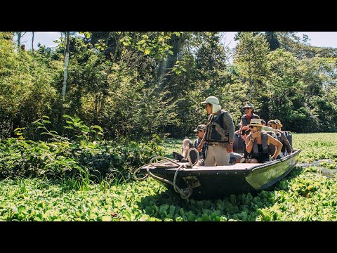 Amazon Bird Sounds with our very own George of the Jungle