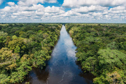 Amazon River rainforest | Aqua Expeditions