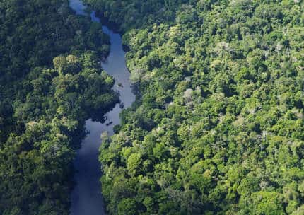 Amazon Rainforest River Peru