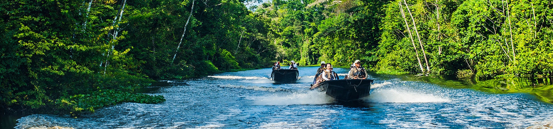 Top 15 must see Amazon Animals on River Safari | Amazon River Cruise