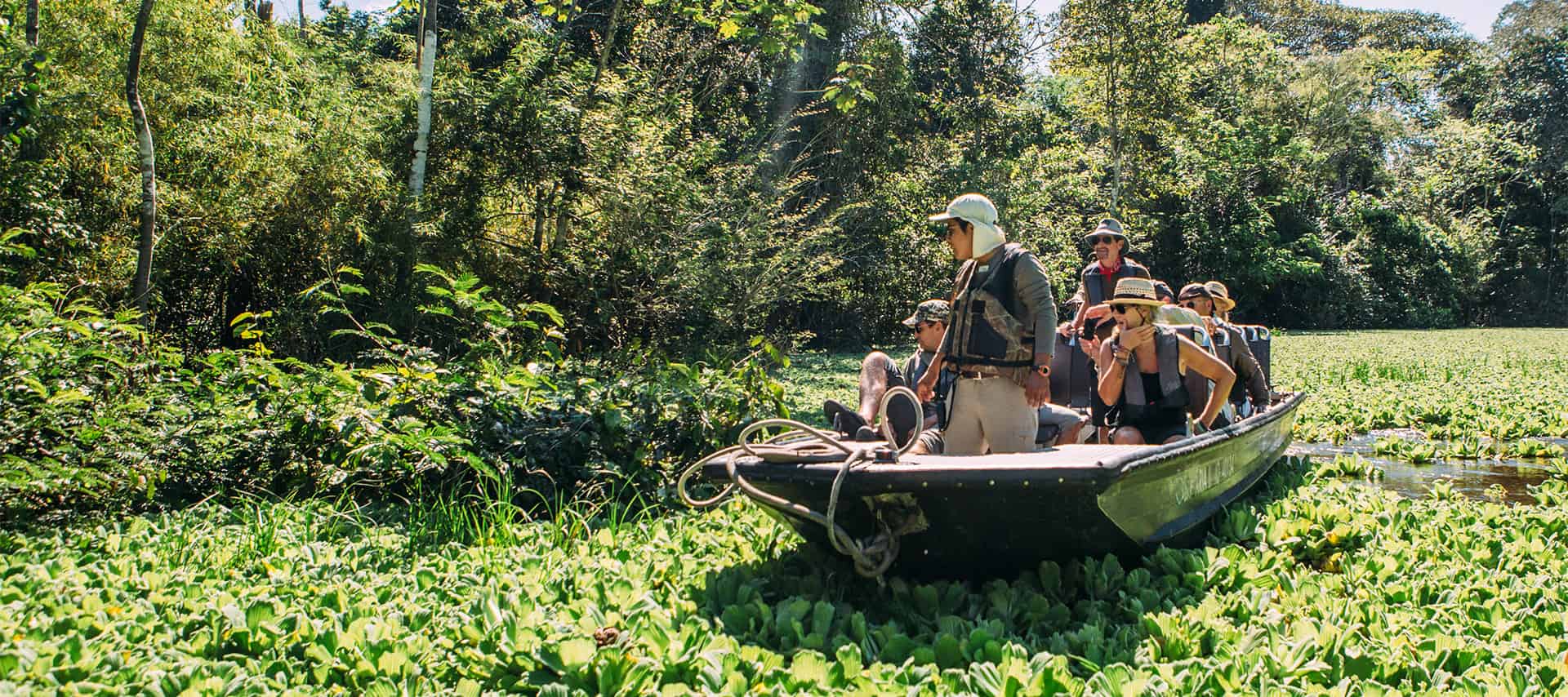 Bird Calls of the Amazon | Aqua Expeditions