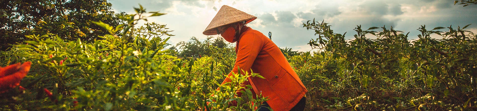farmers-aqua-mekong