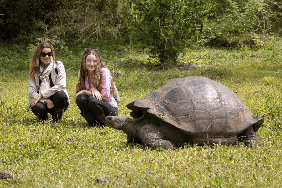 what to do in the galapagos islands - giant tortoise