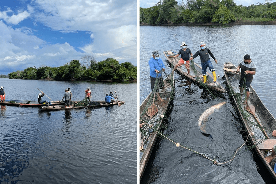 Rainforest to table: fishermen