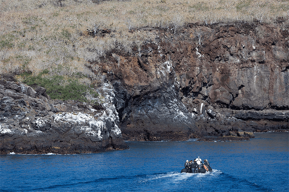 Galapagos Cruise - Best time to visit