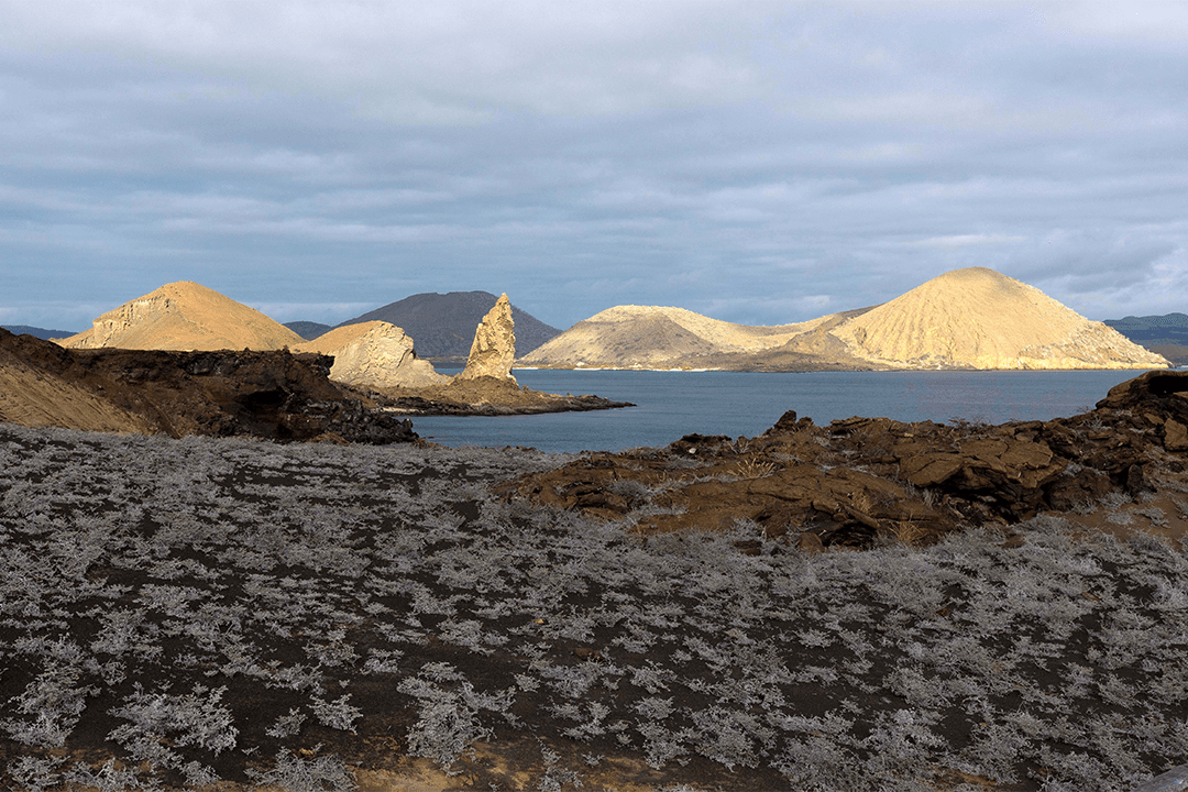 Galapagos Islands | Aqua Mare
